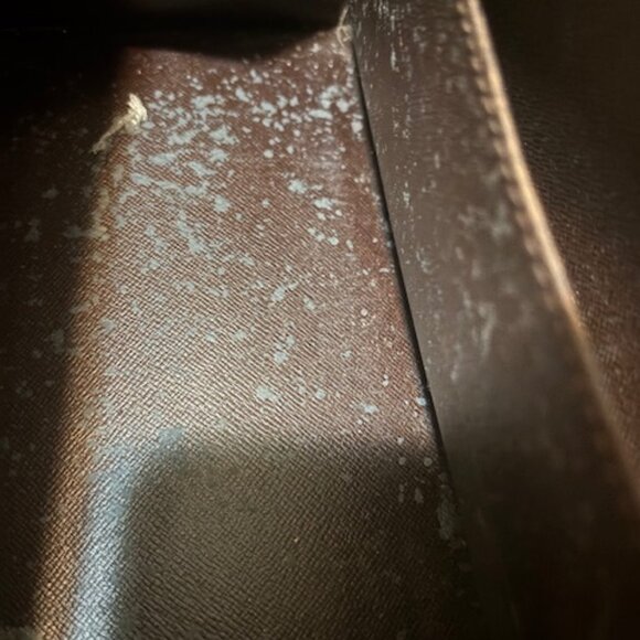 RARE LV Damier Ebene Sac Triangle - Picture 7 of 10